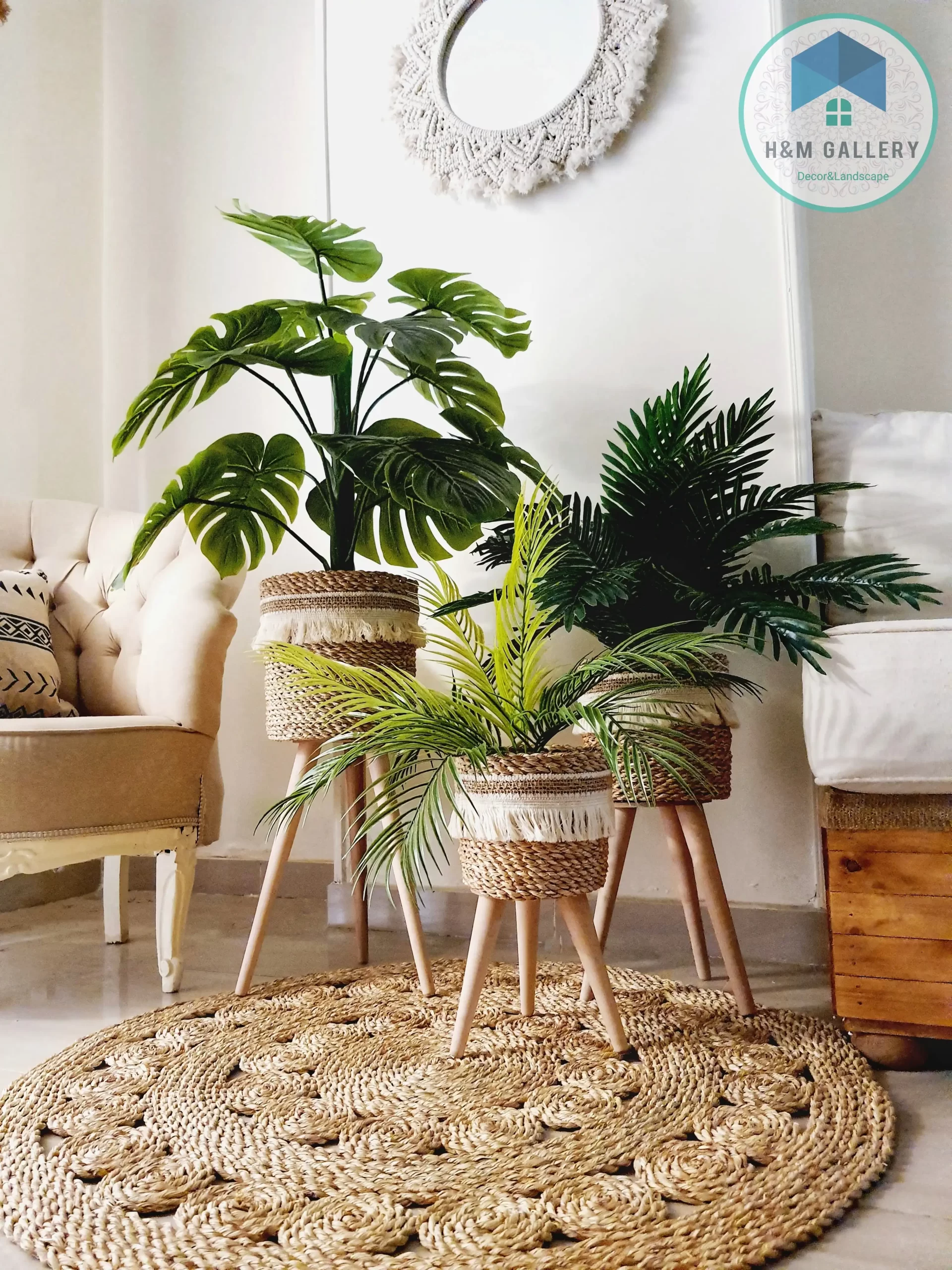 PLANT 60