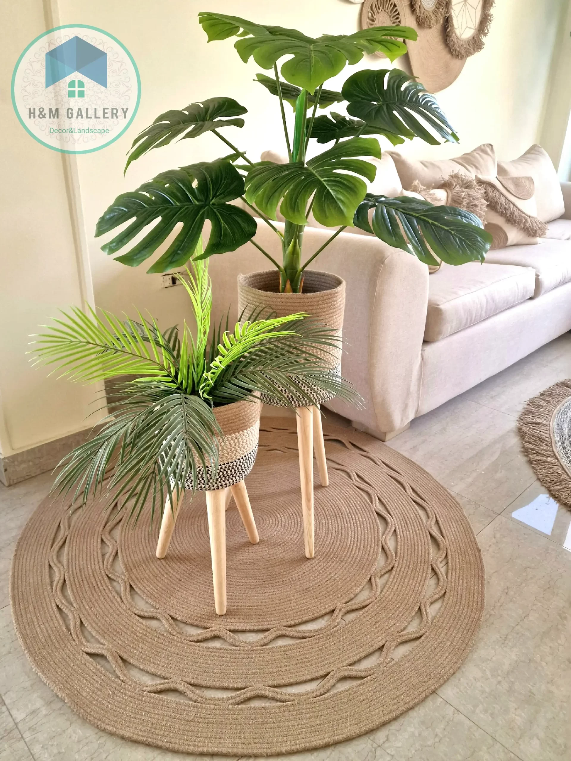 PLANT 61
