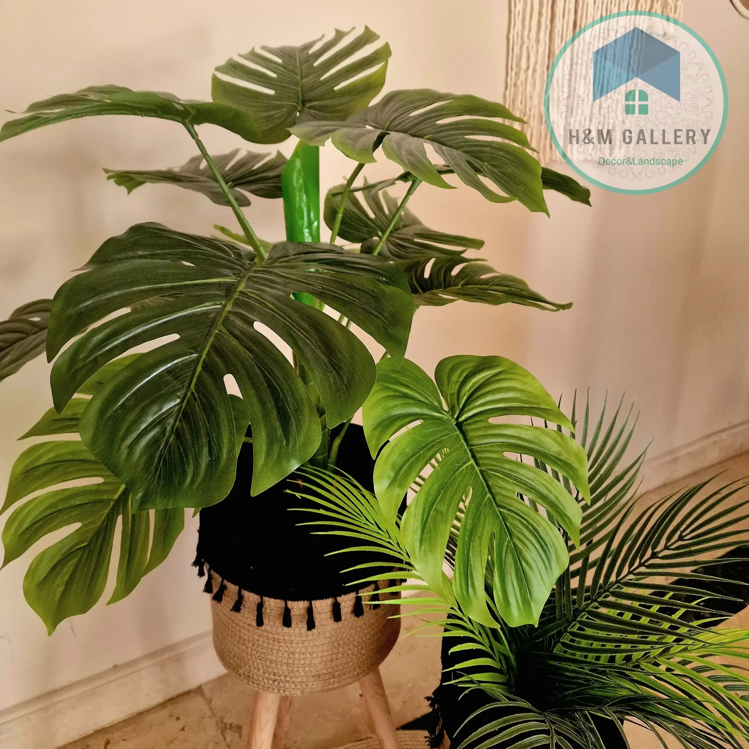 PLANT 65