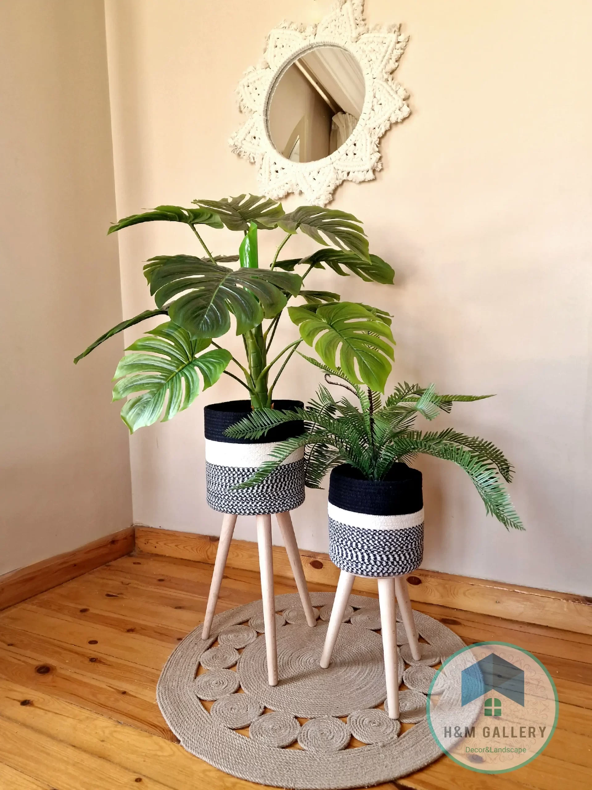 PLANT 66