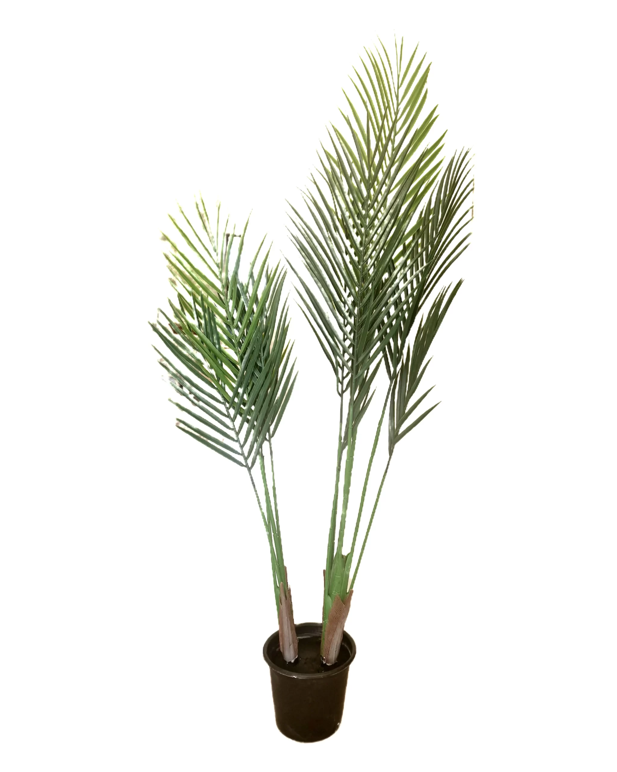 pot a plant 1