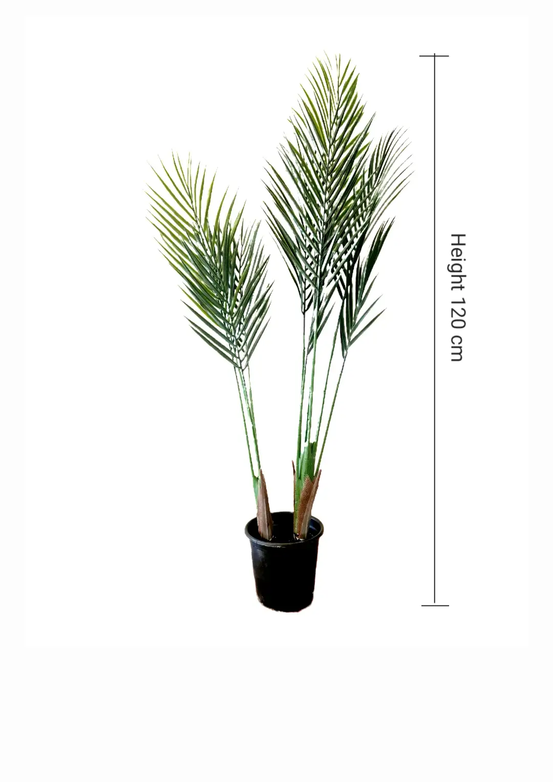 pot a plant 2