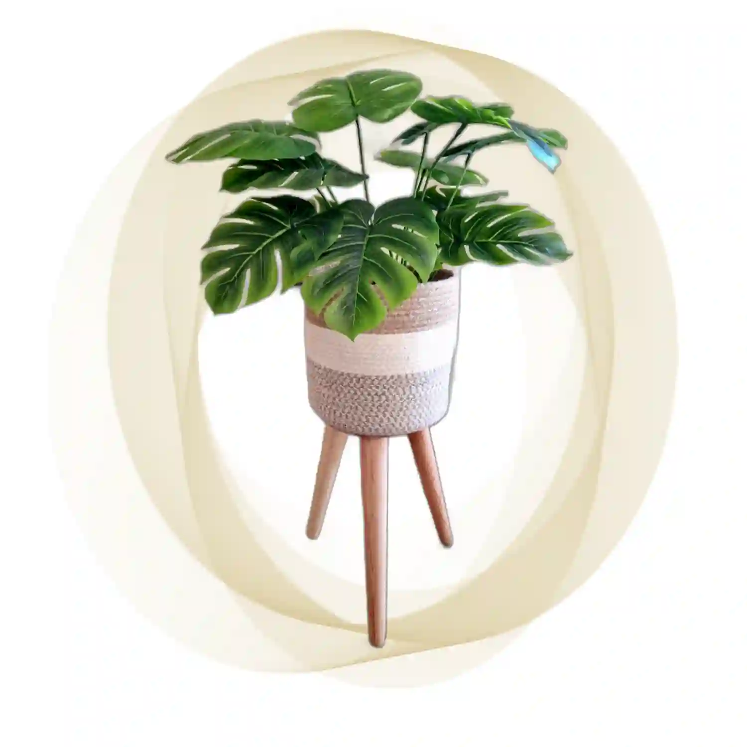 Pot & Plant